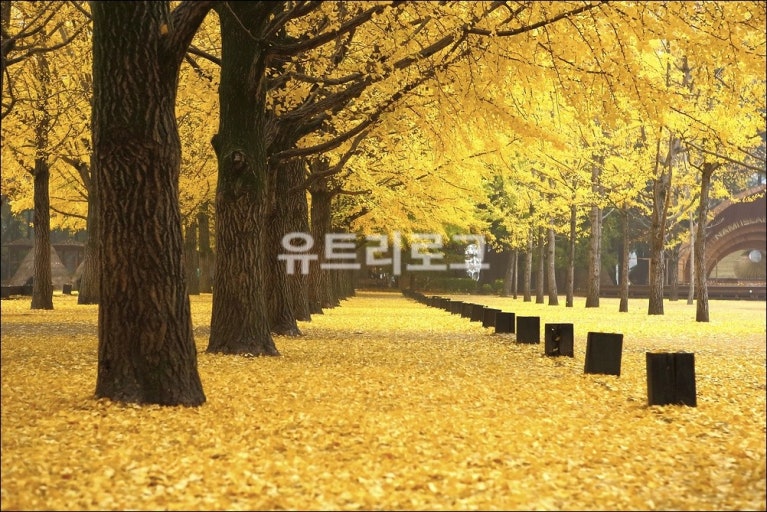 tải xuống - 2025-09-26T131942.557