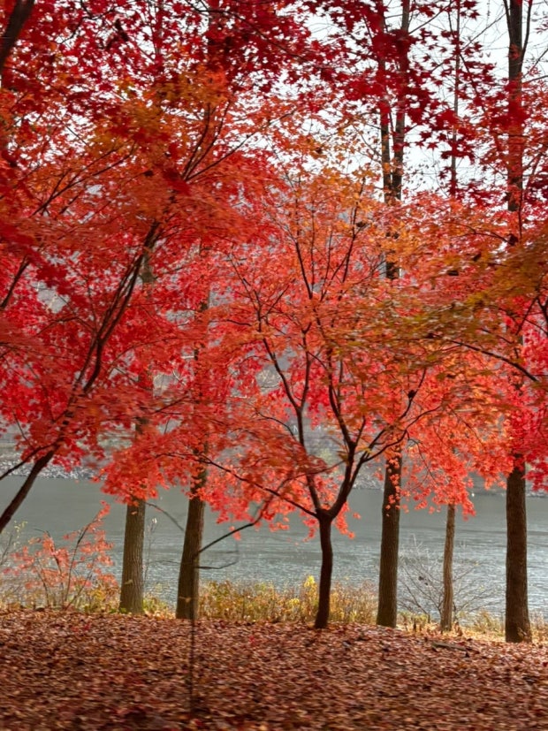 tải xuống - 2025-09-26T132009.180